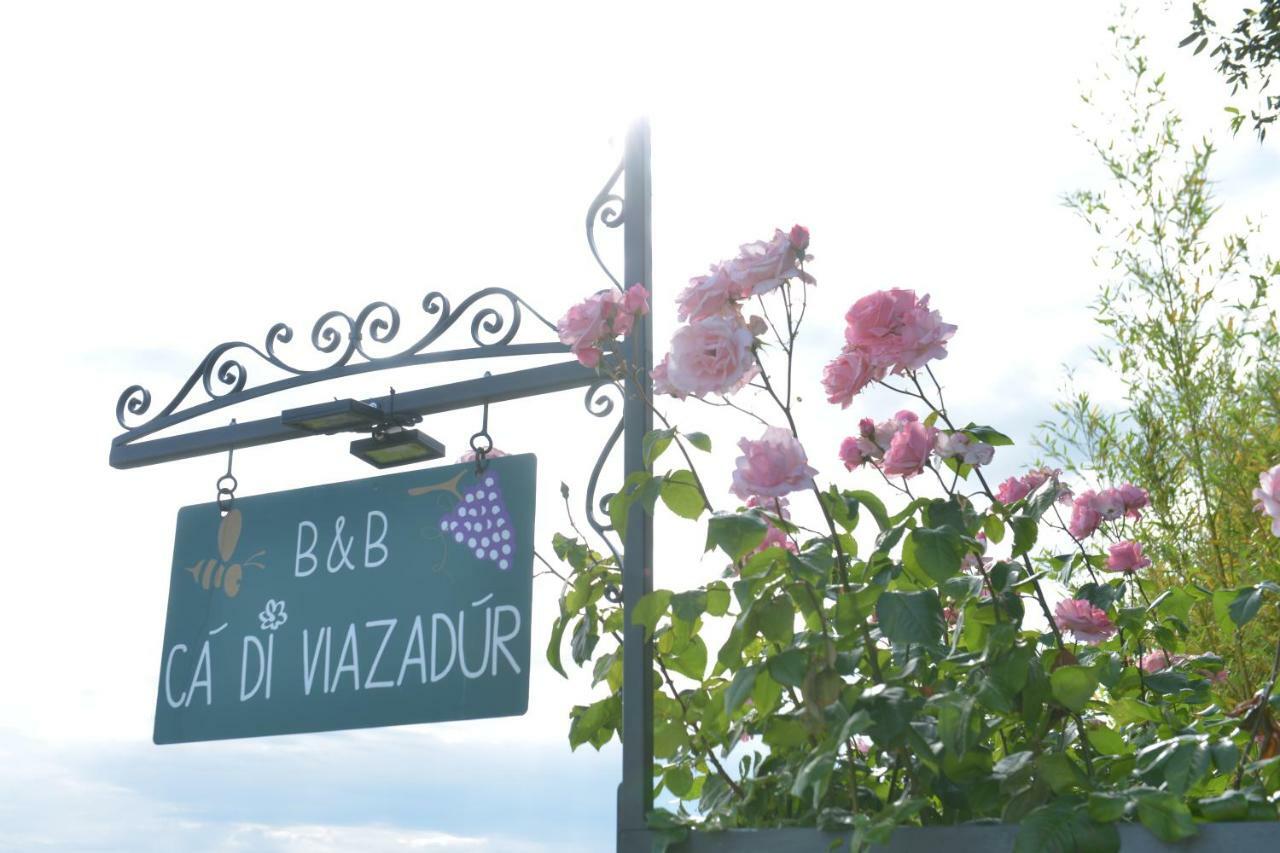 B&B Ca Di Viazadur Faenza Buitenkant foto