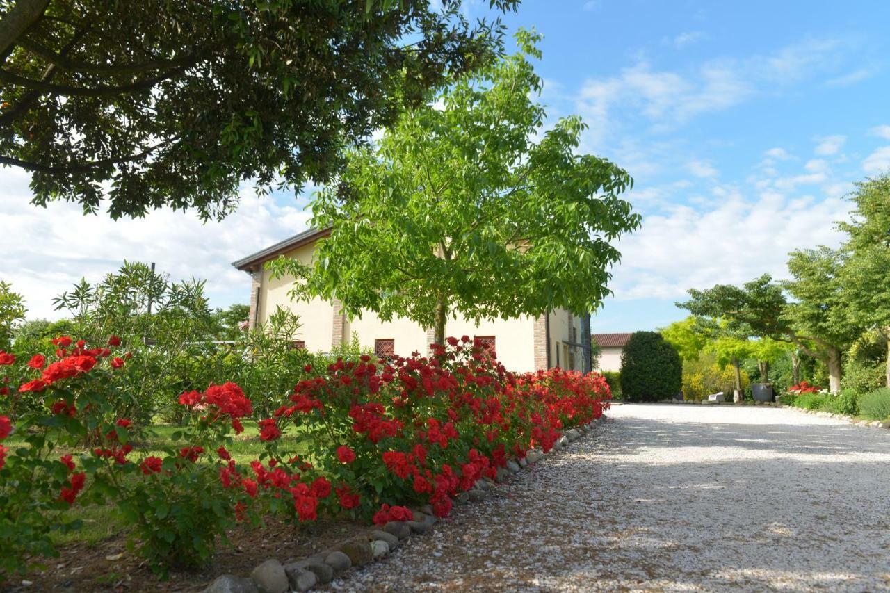 B&B Ca Di Viazadur Faenza Buitenkant foto